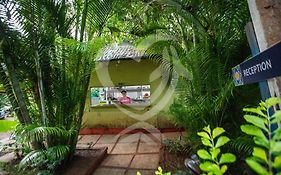 Curlies Anjuna Beach 3*